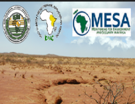 Monitoring for Environment and Security in Africa