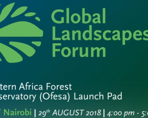 Launchpad: Eastern Africa Forest Observatory (OFESA) - GLF Nairobi 2018